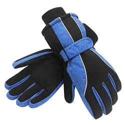 Terra Hiker Waterproof Microfiber Winter Ski Gloves 3M Thinsulate Insulation for Women