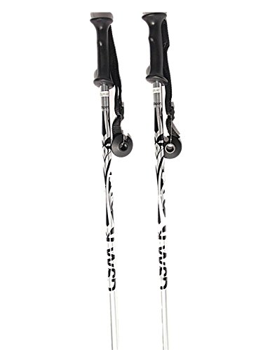 WSD Adult Downhill Alpine 2018 Model Aluminum Ski Poles Pair with Baskets, 48″ L, Silver