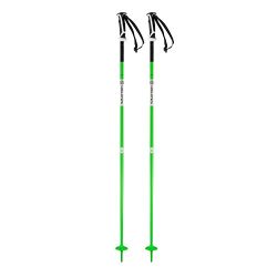 Salomon Arctic Ski Pole, Green, 115