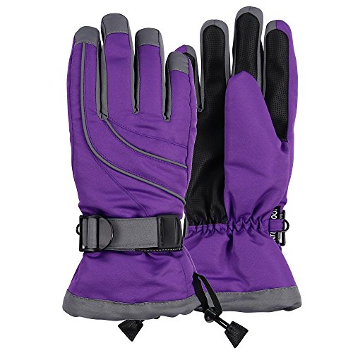 Women’s Thinsulate Lined Waterproof Ski Glove (Purple/Grey, Medium/Large)