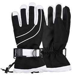 Women’s Thinsulate Lined Waterproof Ski Glove (Black/White, Small/Medium)