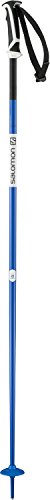 Salomon Arctic Ski Pole, Blue, 120