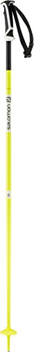 Salomon Arctic Ski Pole, Yellow, 125