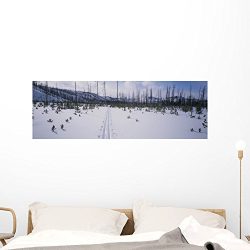 Cross-country Ski Tracks Cross Wall Mural by Wallmonkeys Peel and Stick Graphic (48 in W x 16 in ...