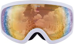 Traverse Varia Ski, Snowboard, and Snowmobile Goggles, Snowcap with Citrine Revo Gold Lens
