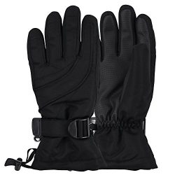 Women’s Thinsulate Lined Waterproof Ski Glove (Black, Medium/Large)