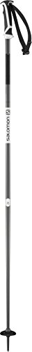 Salomon Arctic Ski Pole, Black, 125