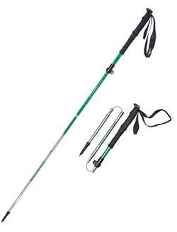Vertex Compact and Ultralight Collapsible Carbon Hiking and Trekking Poles, EVA Handle, Pair