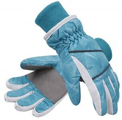 SimpliKids Boys Waterproof Thinsulate Lined Winter Ski & Snowboard Gloves,L,Blue