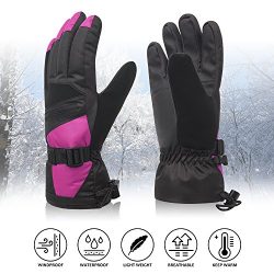 Womens Winter Waterproof Ski Gloves The Warmest 3M Insulation Outdoor Windproof Snowboarding Mit ...