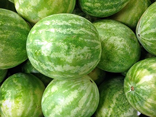 Home Comforts Watermelon Organic Fruit Fresh Produce Food Poster