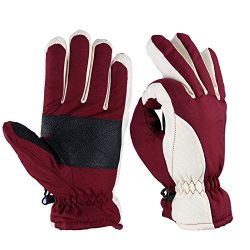 OZERO Ski Gloves, 20°F Cold Proof Winter Warm Snow Skiing Glove for Men & Women – Rein ...