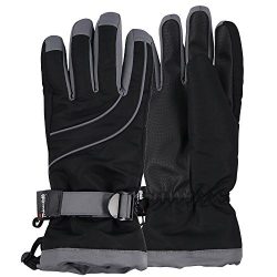 Women’s Thinsulate Lined Waterproof Ski Glove (Black/Dark Grey, Medium/Large)