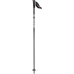 Salomon Arctic S3 Ski Pole, Black/Grey, 110