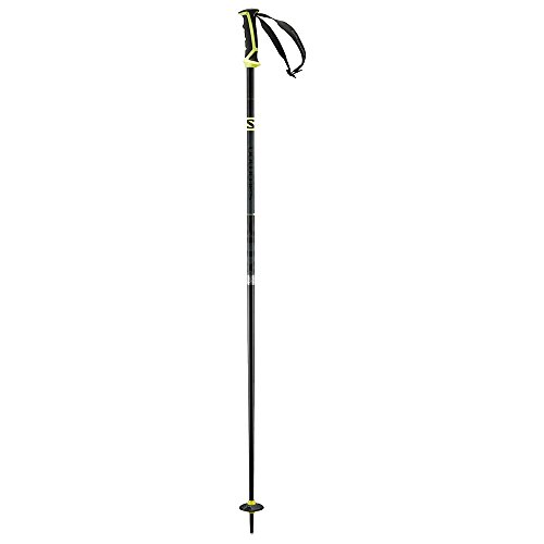 Salomon X 08 Ski Pole 48/120