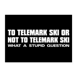 Teeburon TO Telemark Ski OR … WHAT A STUPID QUESTION Pack of 4 Stickers