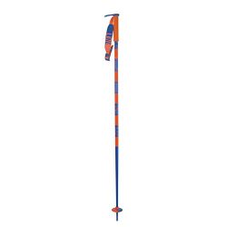 Line Pin Ski Poles Blue 42