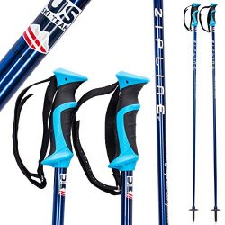 Zipline Ski Poles Carbon Composite Graphite Chrome – U.S. Ski Team Official Ski Pole ̵ ...